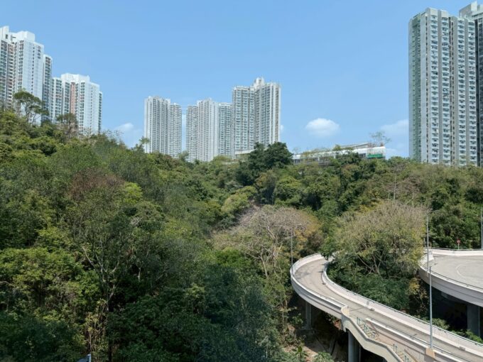 WhatsApp Image 2026 04 29 at 17.29.50