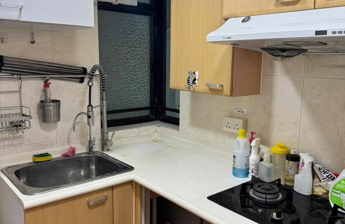 WhatsApp Image 2026-04-29 at 19.49.28