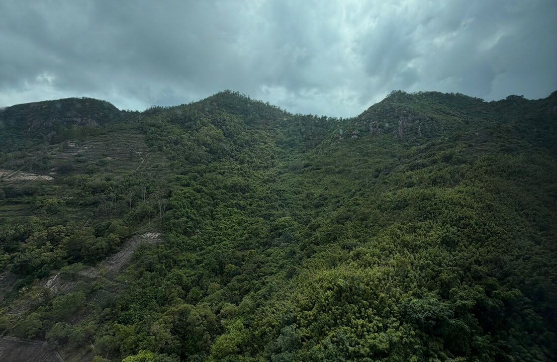 WhatsApp Image 2026-04-30 at 11.20.28 (1)