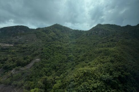 WhatsApp Image 2026-04-30 at 11.20.28 (1)