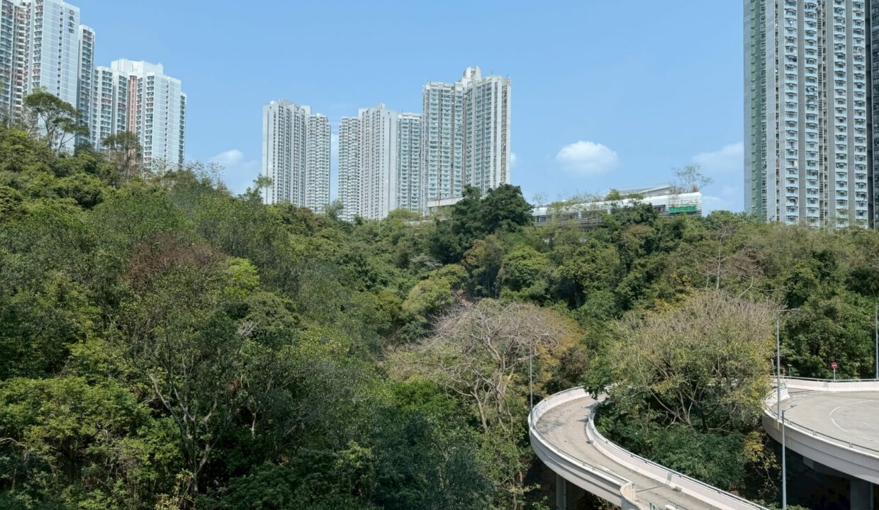 WhatsApp Image 2026-05-02 at 11.12.15