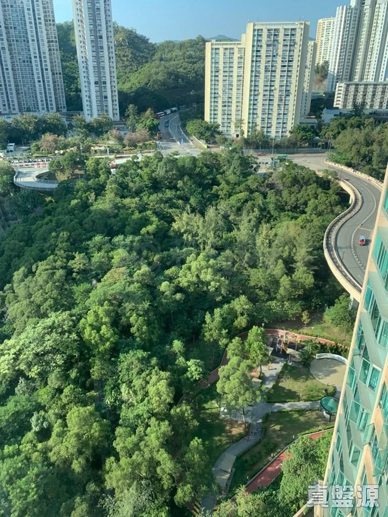 藍澄灣1座 中層園景
