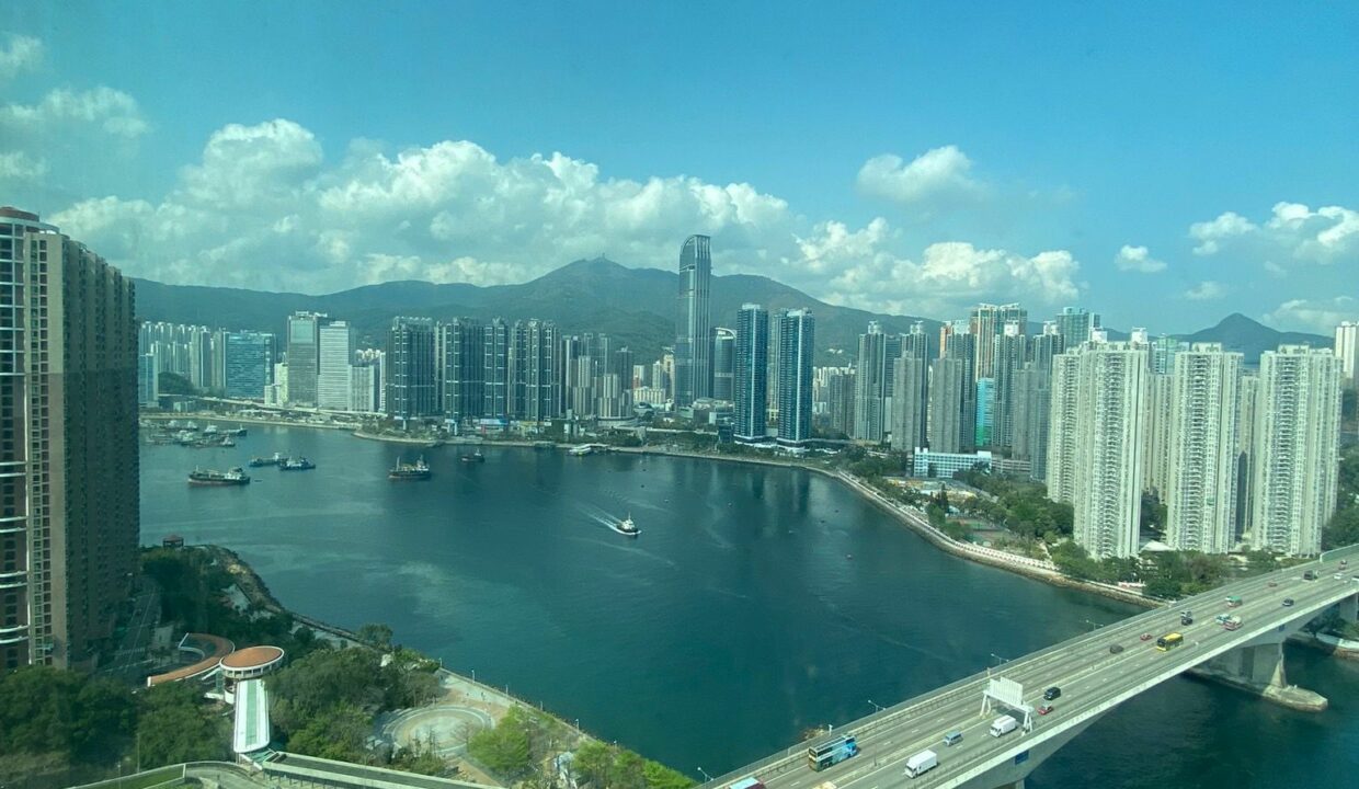 d93f911d-0cd8-402b-b615-0ac25e77a23a