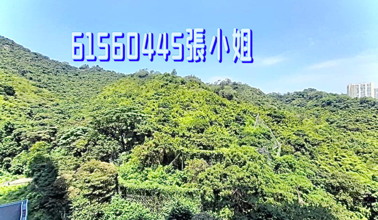 相片 1-6-2023 下午4 59 02