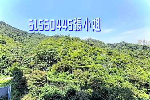 相片 1-6-2023 下午4 59 02