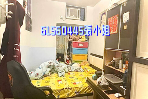 相片 1-6-2023 下午5 18 17