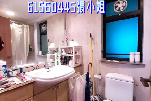 相片 1-6-2023 下午6 53 22 (1)