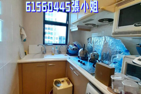 相片 1-6-2023 下午6 53 22