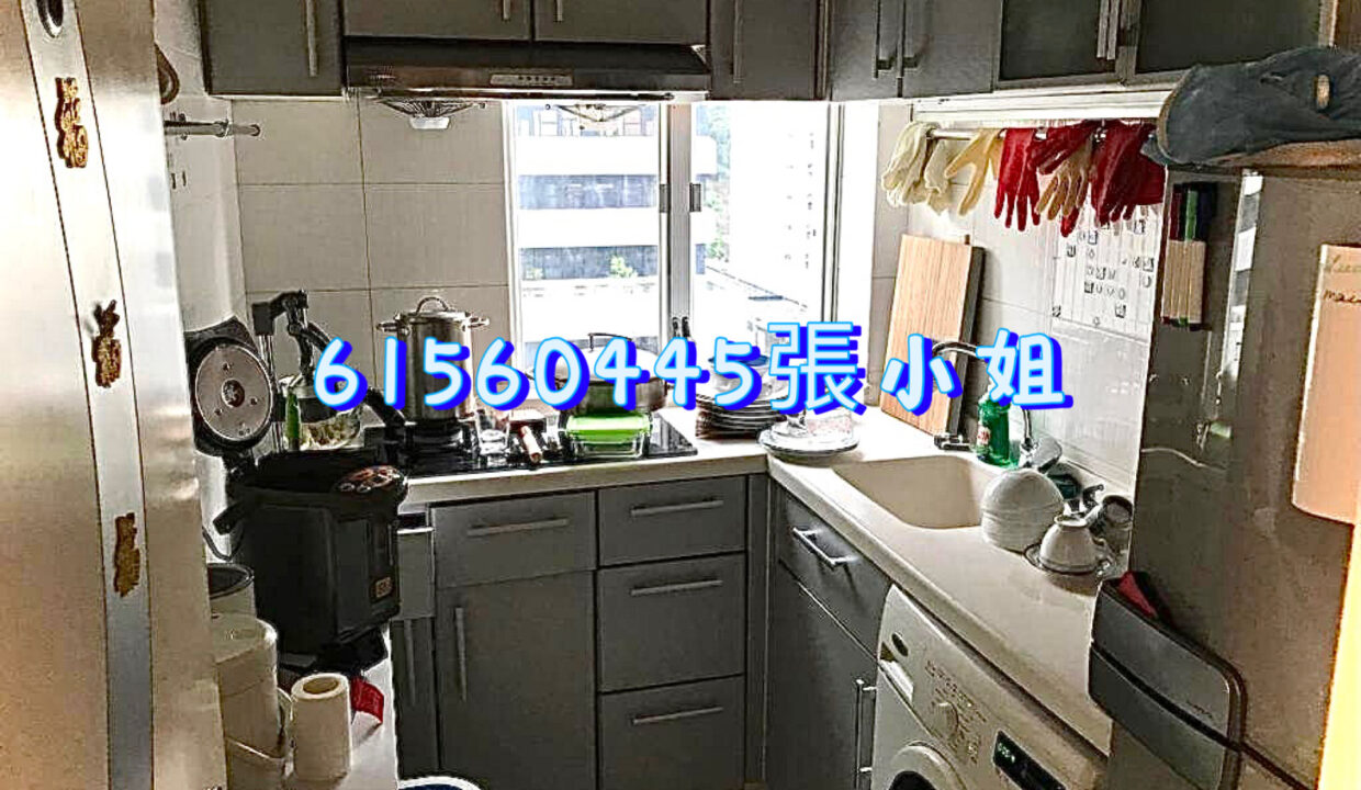 相片 12-4-2023 下午9 58 25 (1)