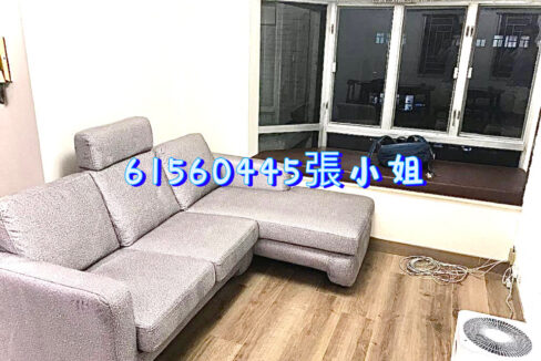 相片 12-4-2023 下午9 58 25