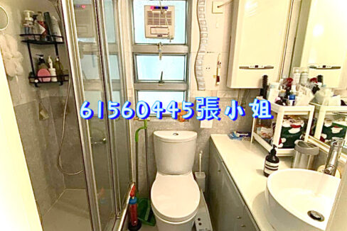 相片 12-4-2023 下午9 58 26