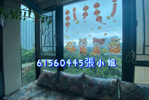 相片 14-4-2023 下午7 12 01 (1)