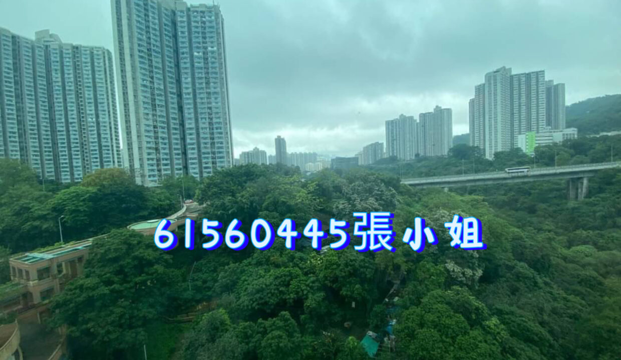 相片 14-4-2023 下午7 12 02