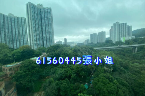 相片 14-4-2023 下午7 12 02