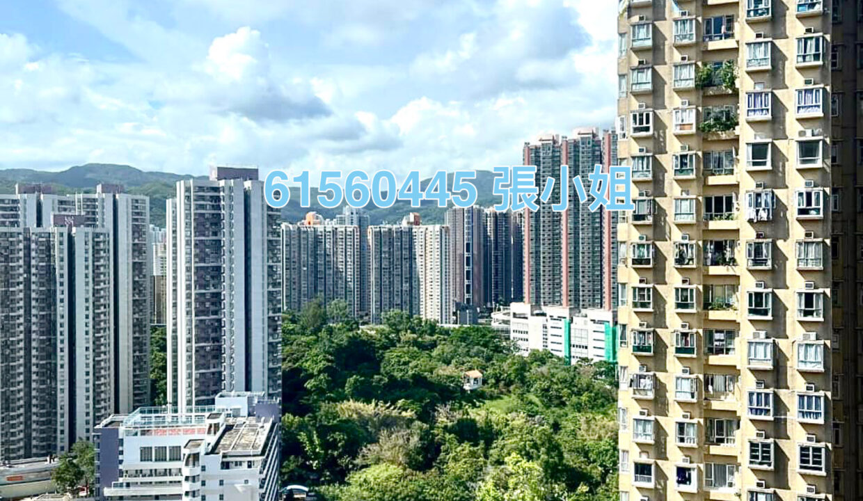 相片 17-12-2022 下午6 58 44 (1)