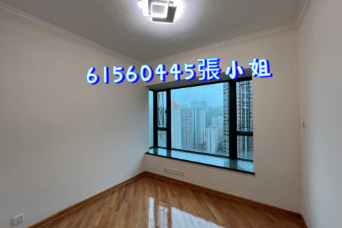 相片 19-4-2023 下午3 16 09