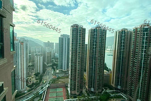 相片 28-6-2023 下午12 52 38