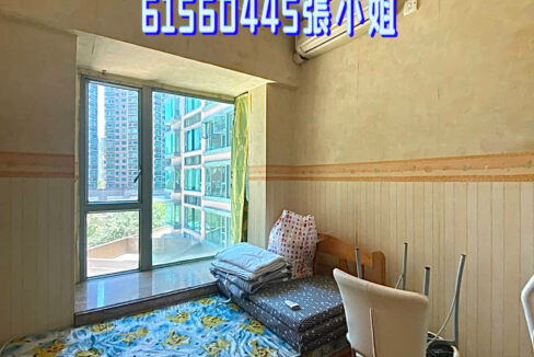 相片 3-6-2023 下午5 14 13 (1)